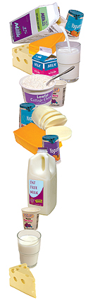 Leche, queso, requesón, yogur.